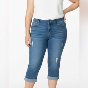 Woman Within Blue Straight Leg Jeans